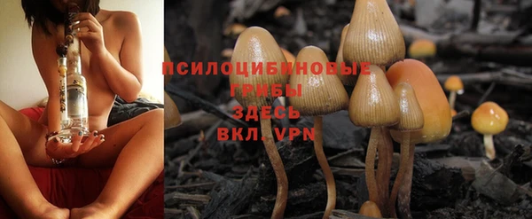 прущая мука Армянск