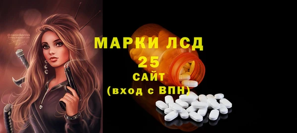 a pvp Аркадак