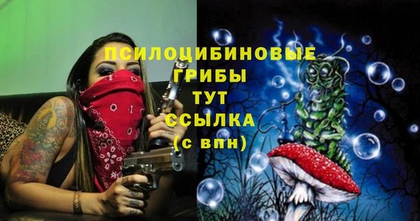 ALPHA PVP Арсеньев