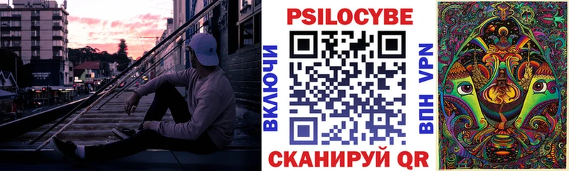 Галлюциногенные грибы мицелий  где найти   Аркадак 