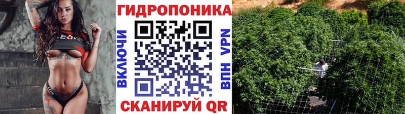 закладки  Аркадак  мега зеркало  Каннабис Amnesia 